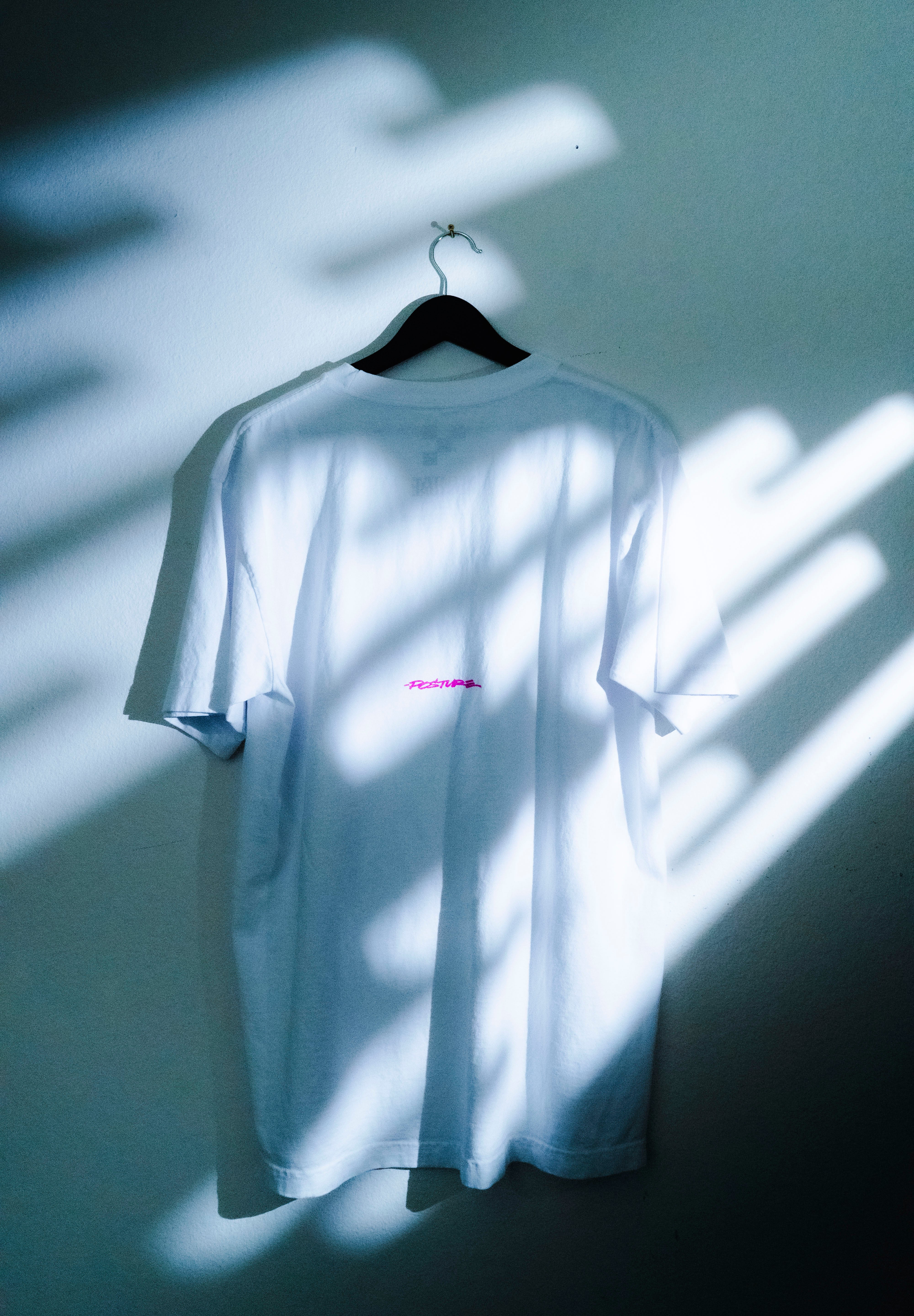 Hall of Posture tee